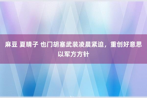 麻豆 夏晴子 也门胡塞武装凌晨紧迫，重创好意思以军方方针