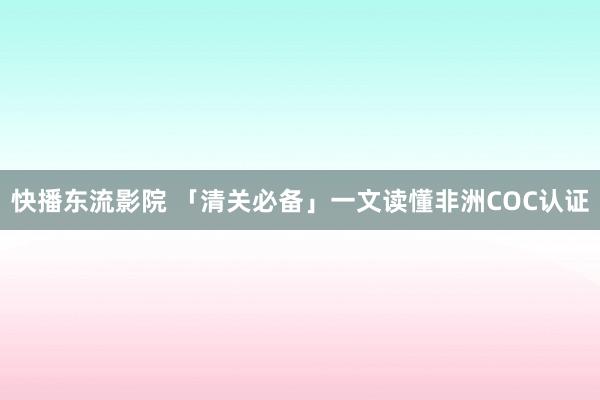 快播东流影院 「清关必备」一文读懂非洲COC认证